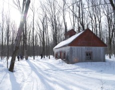 Centre de ski de fond et raquette de la Pinière